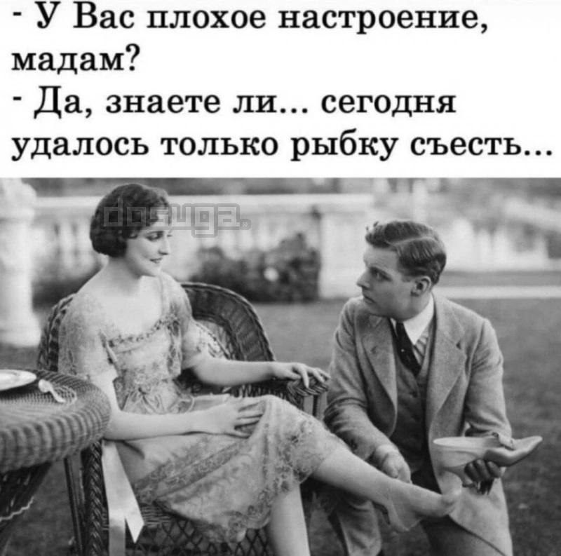 Пошлый юмор для Взрослых