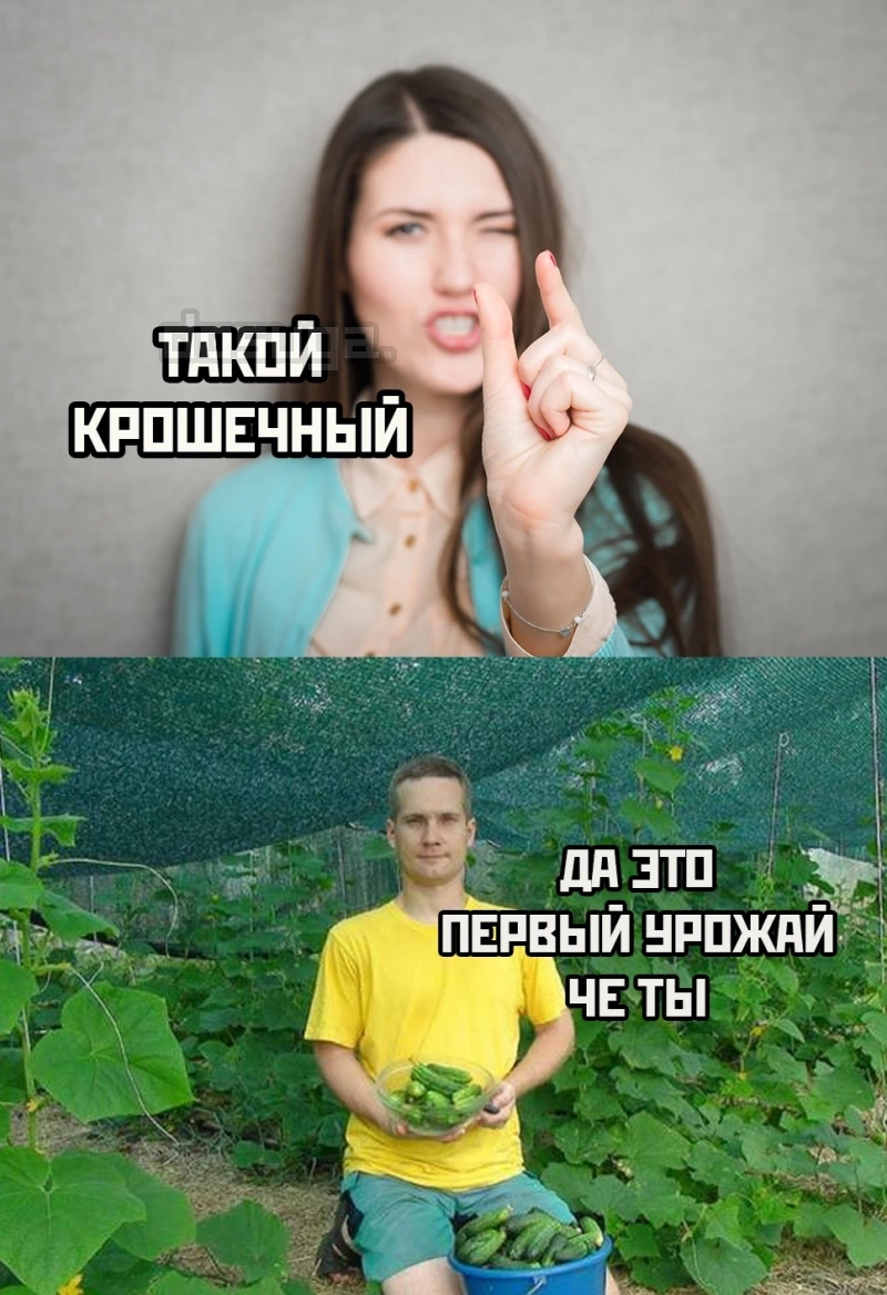Пошлый юмор для Взрослых