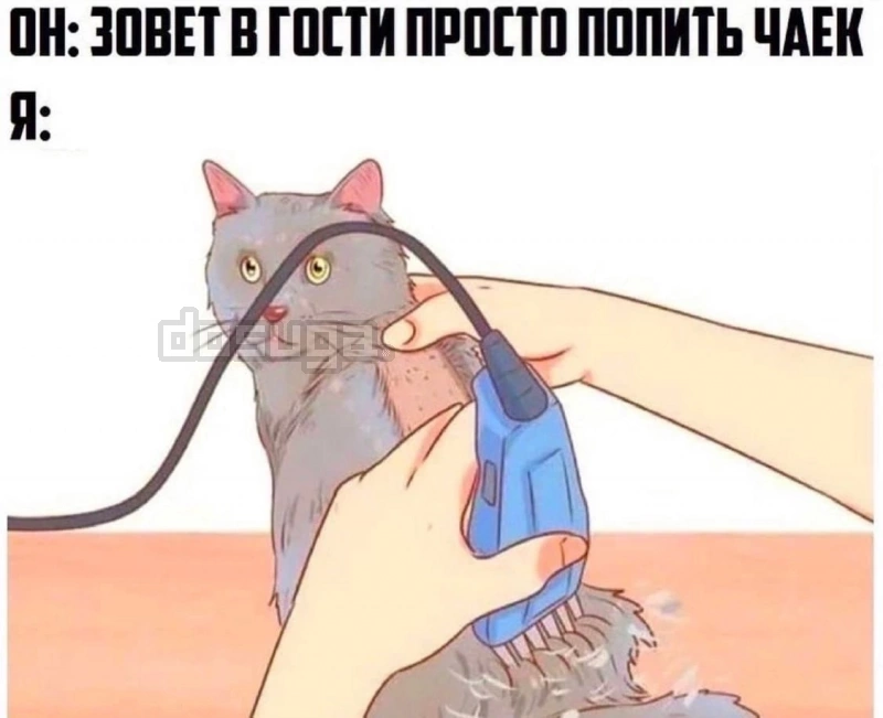 Пошлый юмор для Взрослых