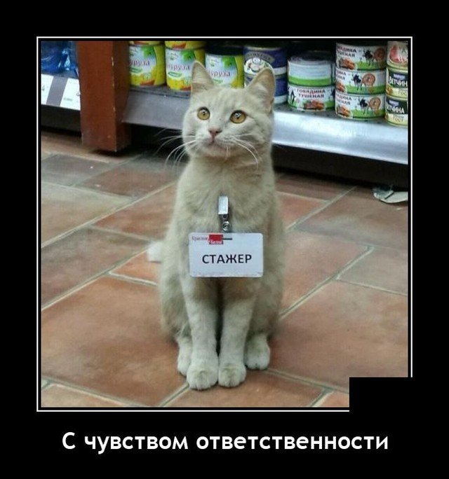 Демотиваторы смешные