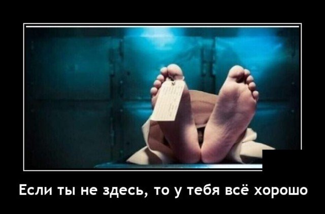 Демотиваторы для Настроения