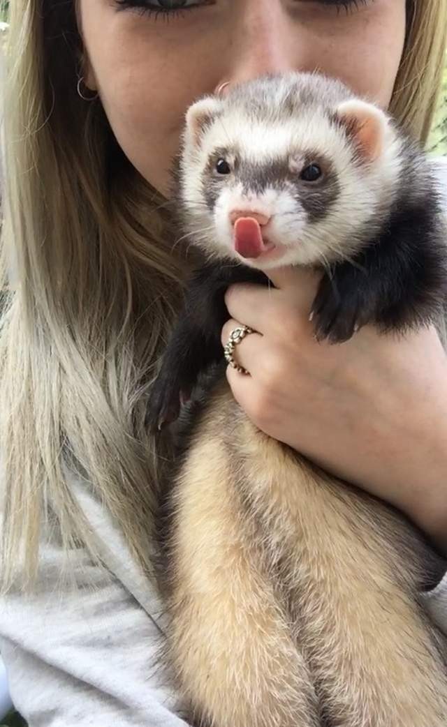 Фото животных