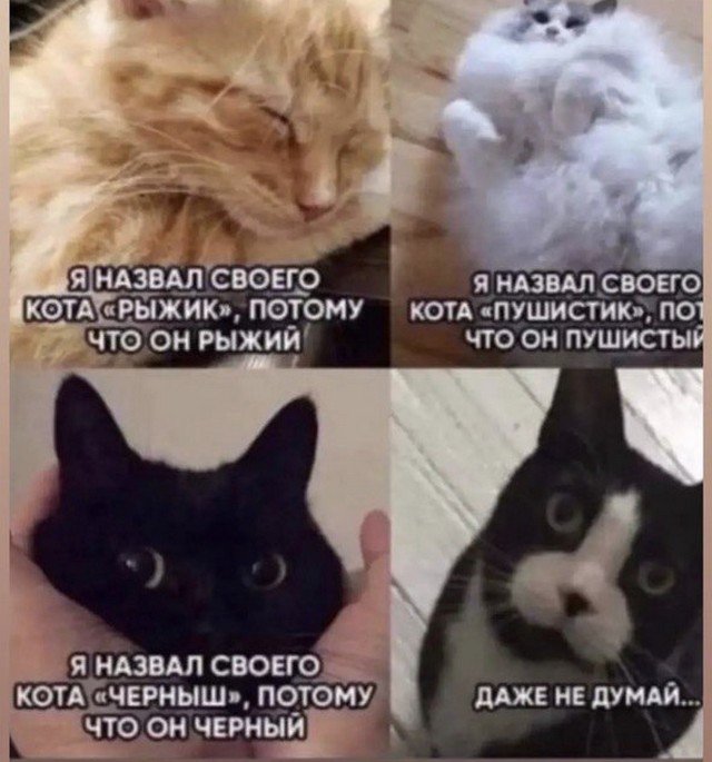 Мем