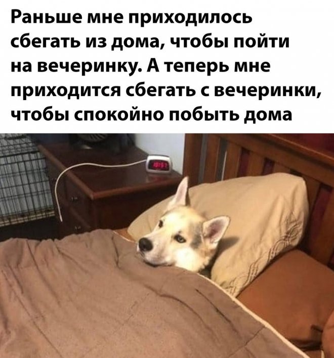 Мемы дня.