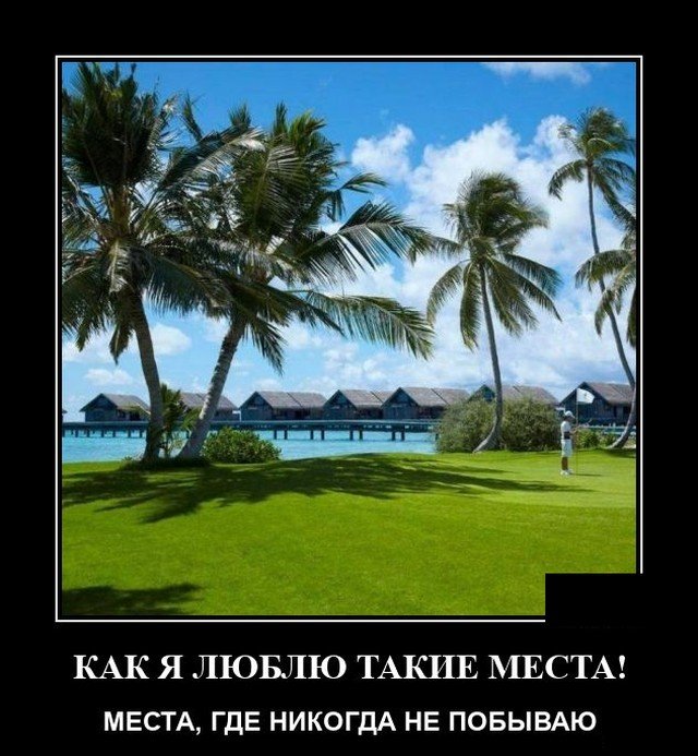 Демотиваторы