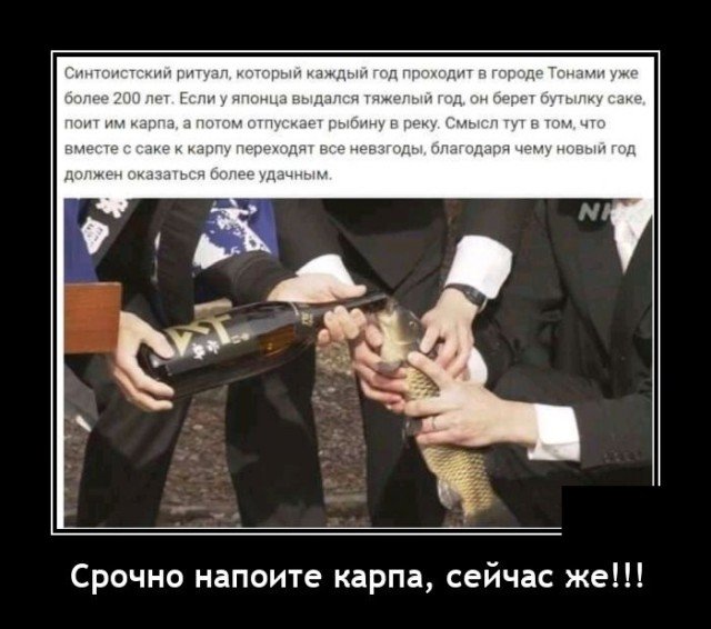 Демотиваторы веселые