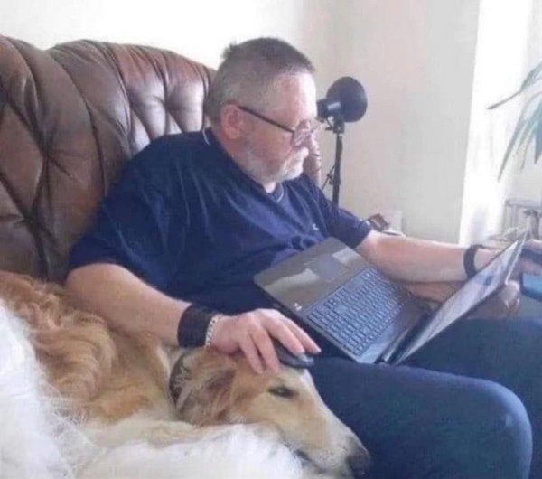 Фото приколы