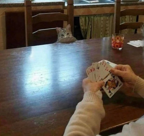 Фото приколы