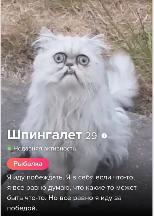 Знакомства