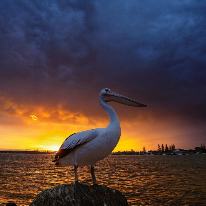 Яркие и красивые фотографии из путешествия по Миру