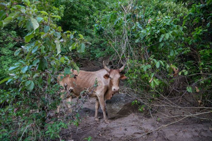 Эфиопский город хаоса и беспорядка - Амба