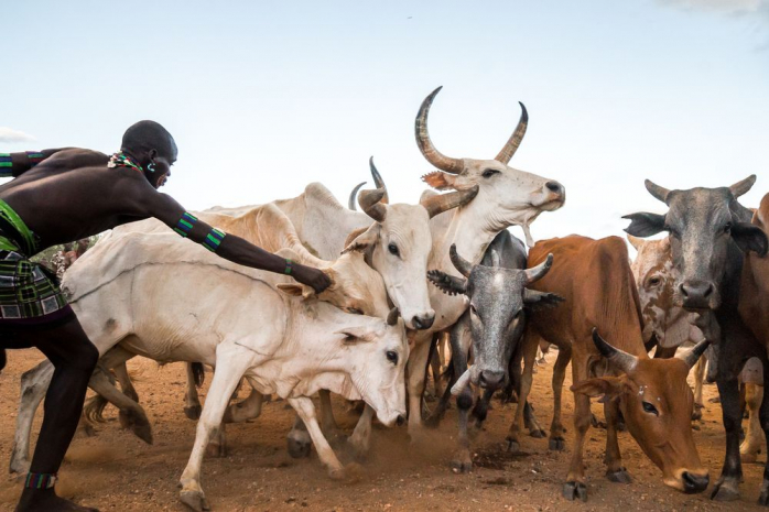 Эфиопский город хаоса и беспорядка - Амба
