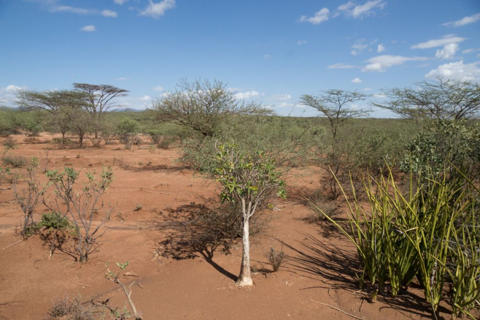 Эфиопский город хаоса и беспорядка - Амба