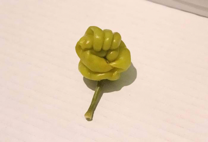 Овощи и Фрукты довольно забавной Формы