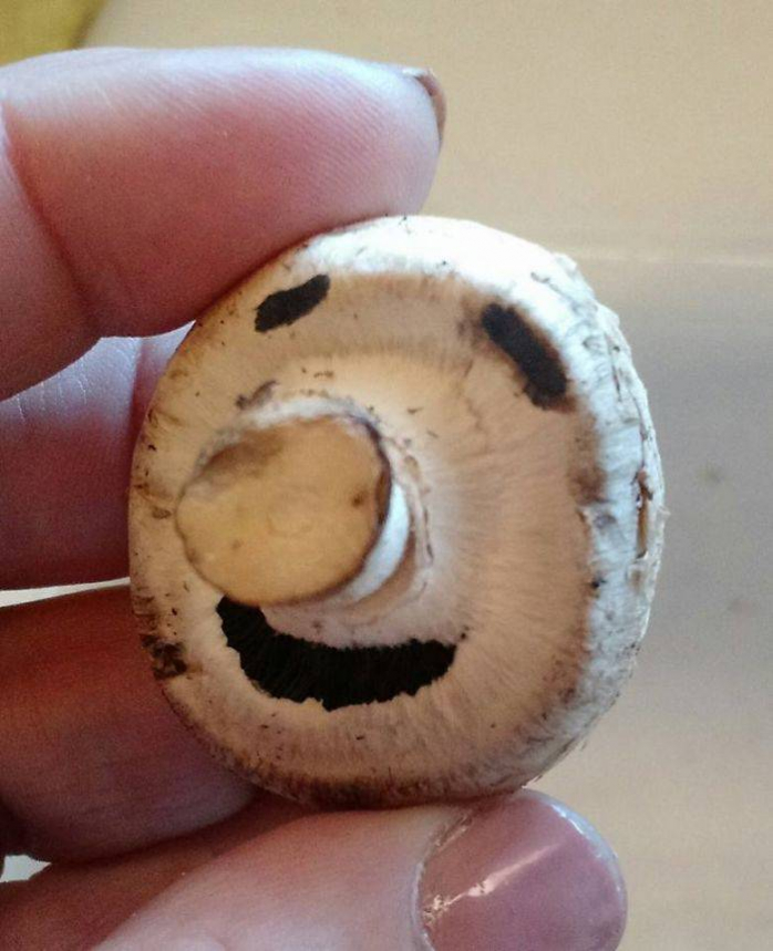 Овощи и Фрукты довольно забавной Формы