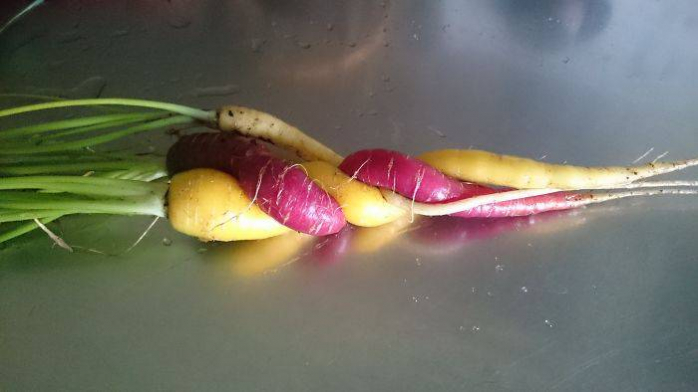 Овощи и Фрукты довольно забавной Формы