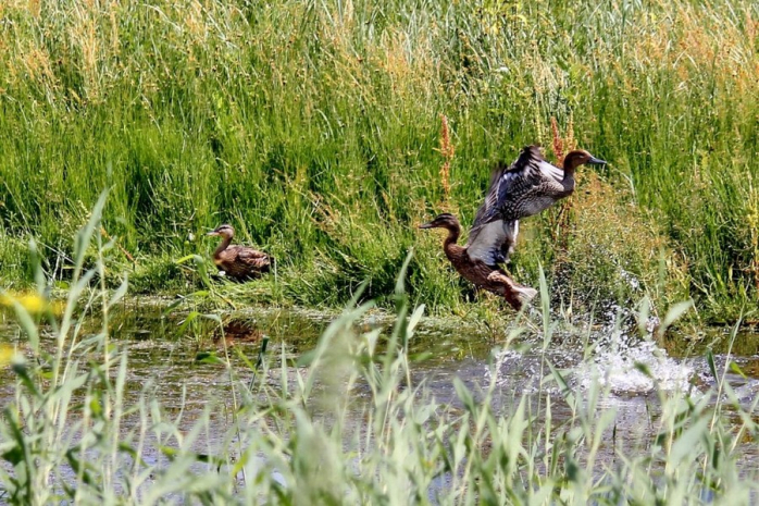 Подборка порции позитива