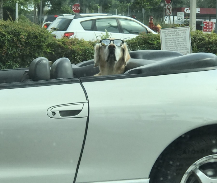 Подборка порции позитива