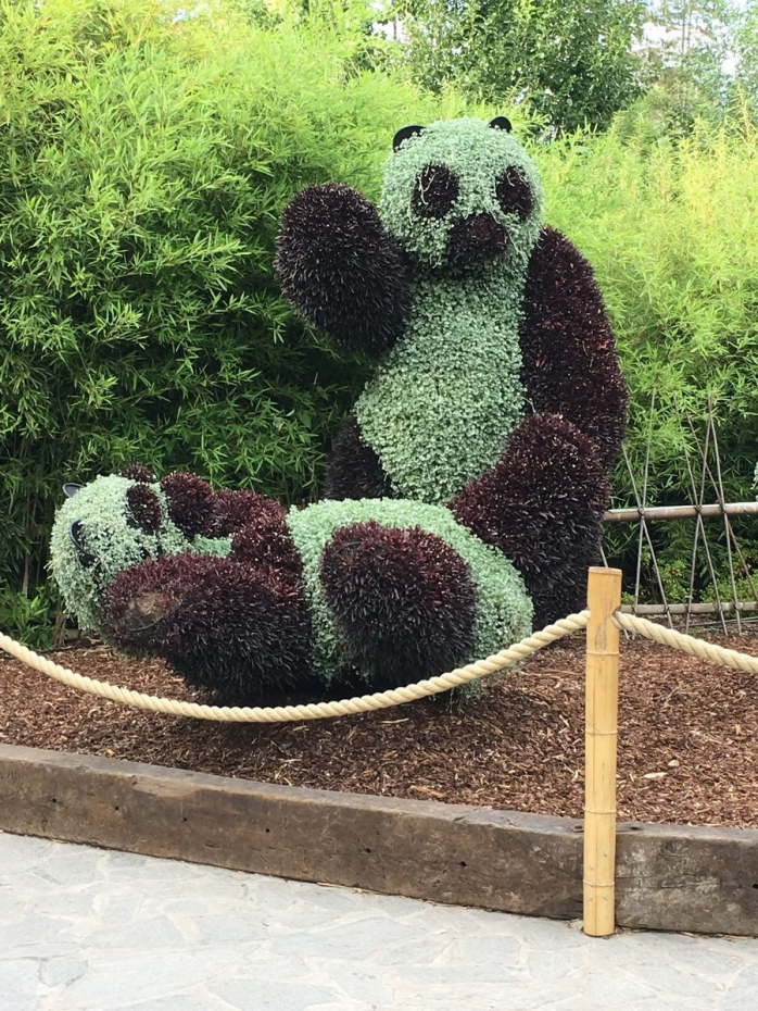 Подборка порции позитива