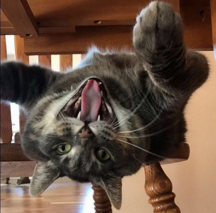 Подборка порции позитива