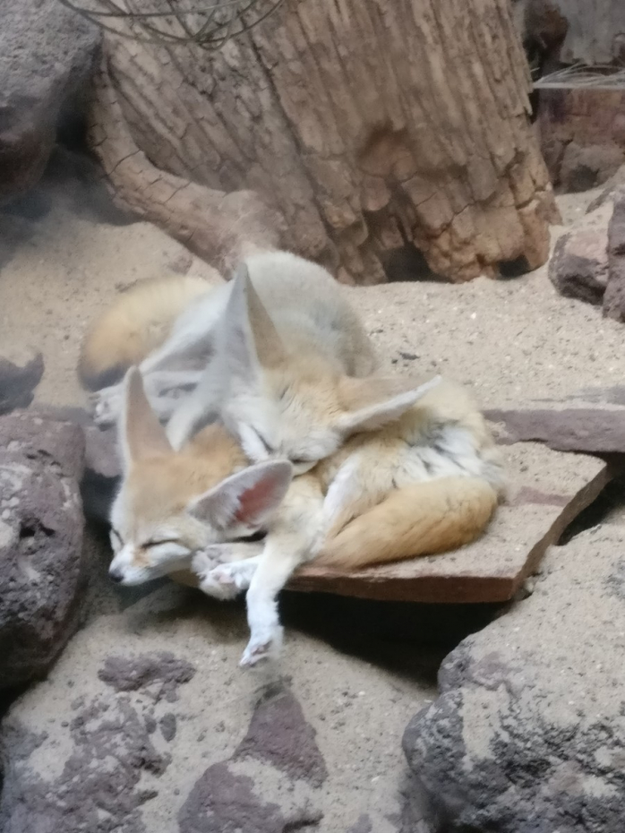 Подборка порции позитива