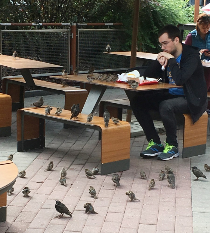 Подборка порции позитива