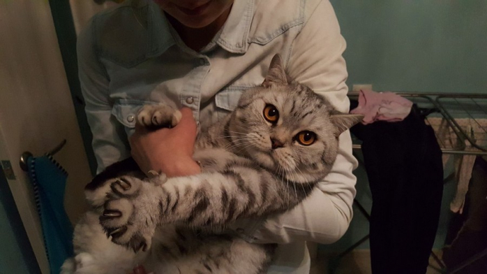 Подборка порции позитива