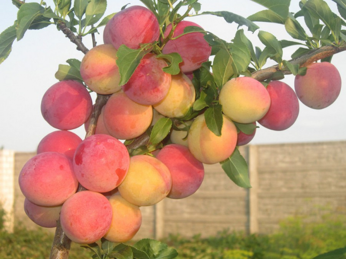 Подборка порции позитива