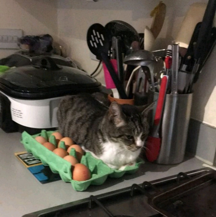 Подборка порции позитива