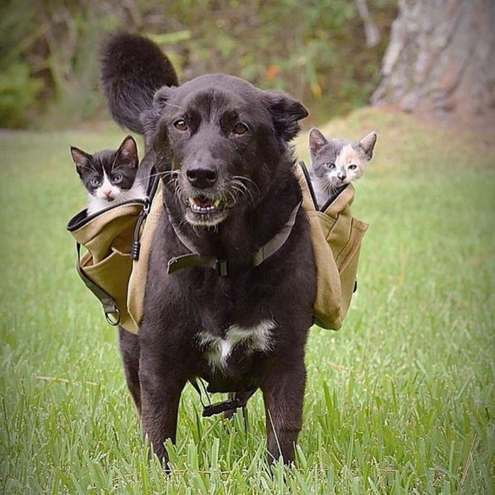 Подборка порции позитива