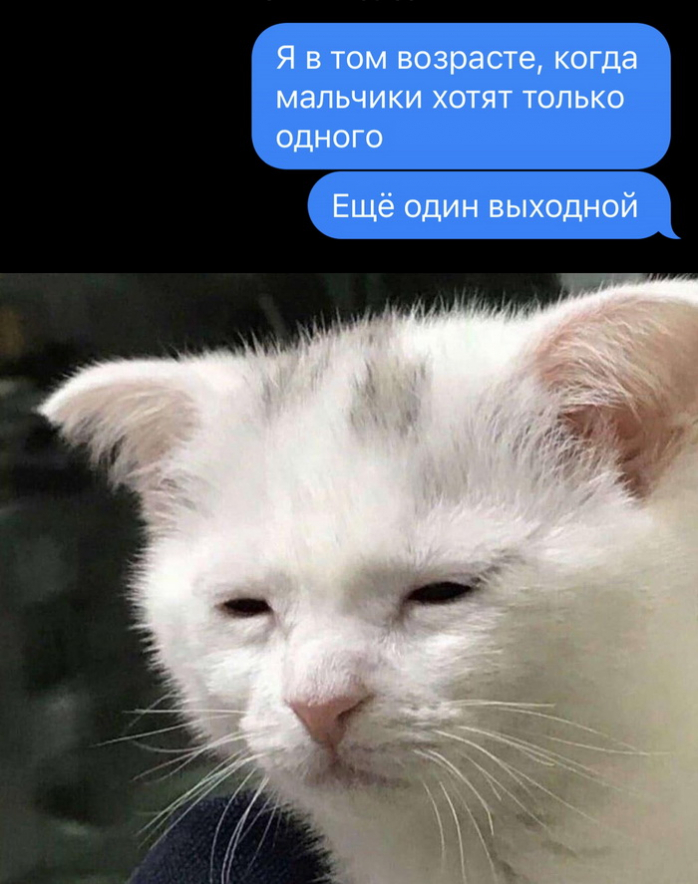 Смешные скриншоты из социальных сетей