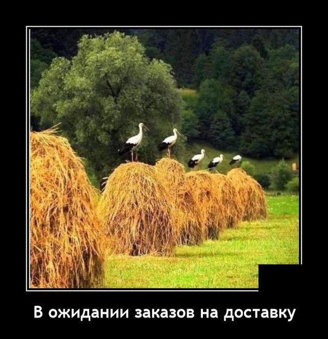 Демотиватор досуга