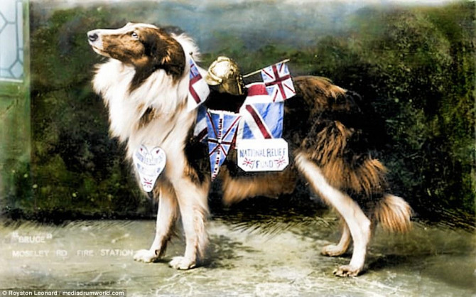 Первая Мировая Война в цвете