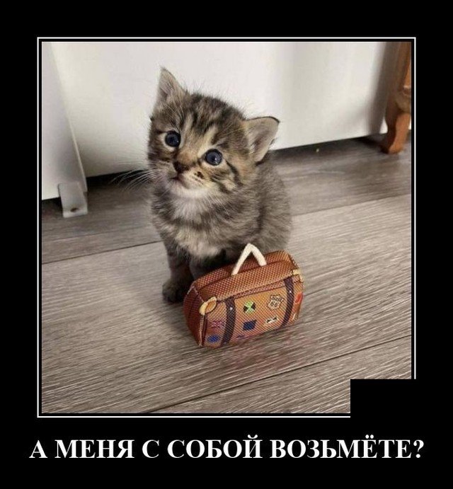 Демотиватор