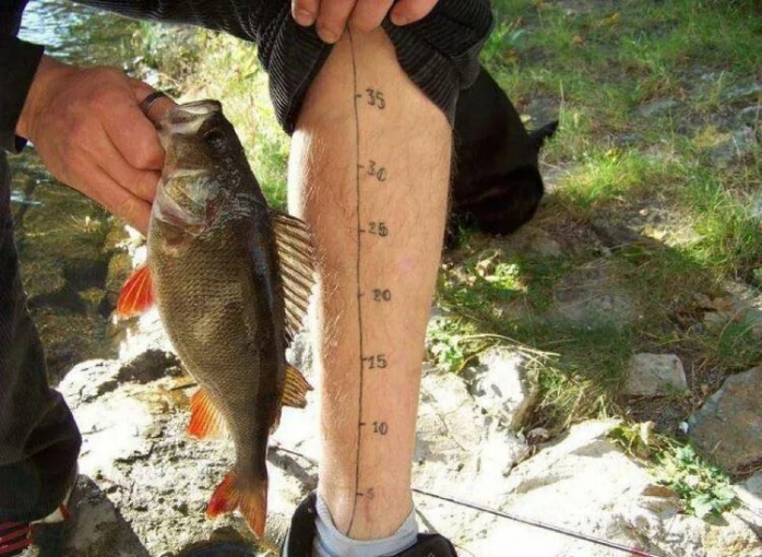 Приколы про Рыбалку на Досуга.нет