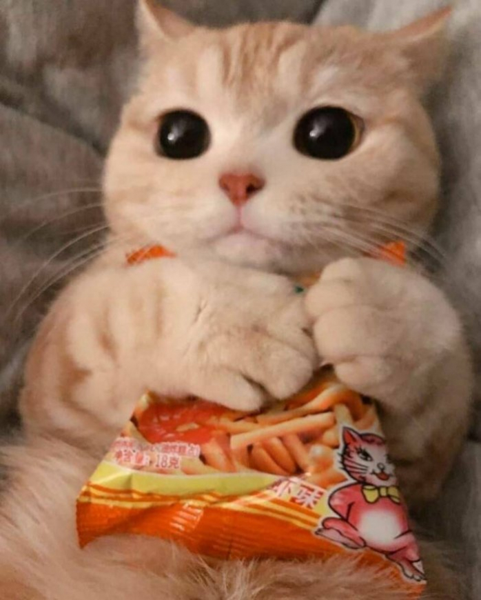 смешные картинки и фото приколы бесплатно