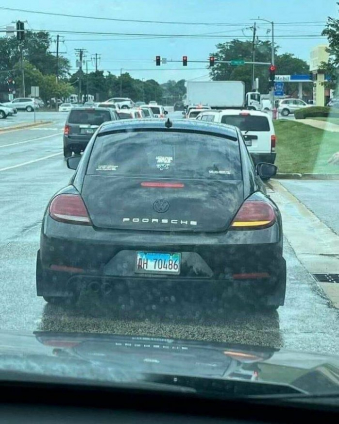 смешные картинки и фото приколы бесплатно