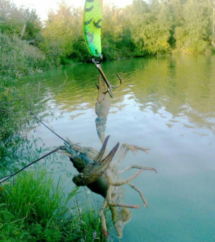 Приколы про Рыбалку на Досуга.нет