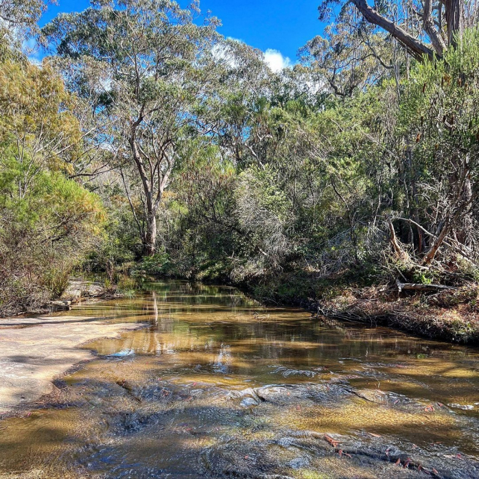 Кристально чистые бассейны