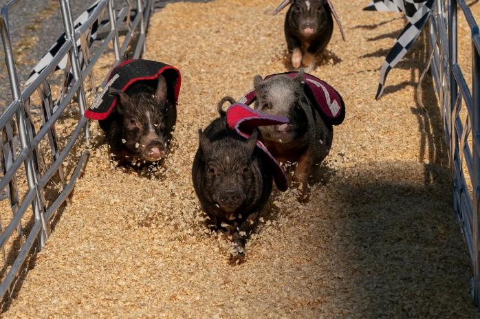 Позитив дня