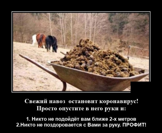 демотиваторы новые