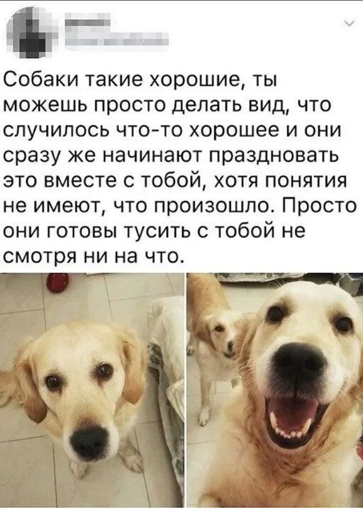 смешные картинки