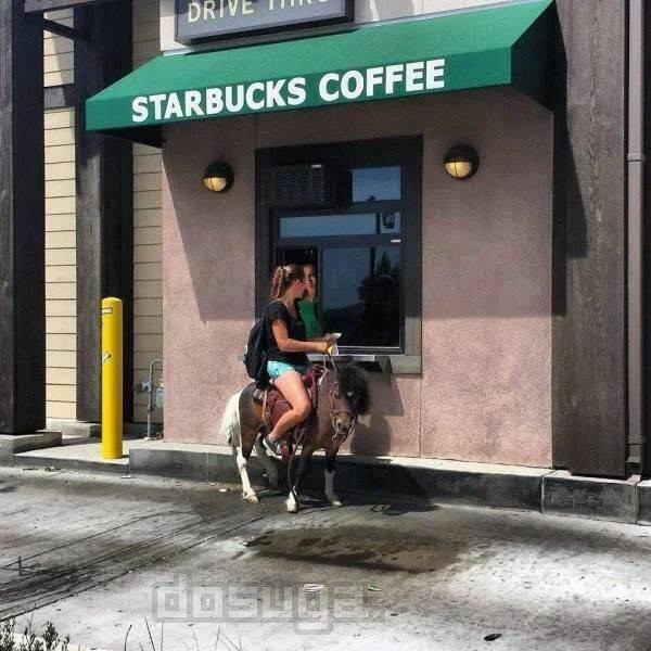 новые приколы