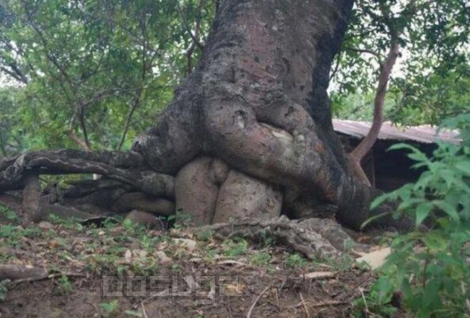 новые приколы