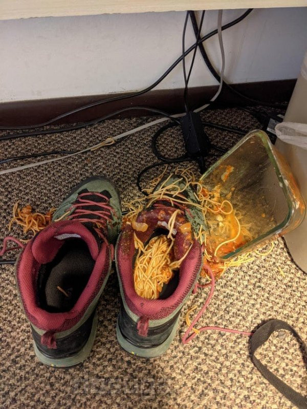 юмор кулинарии