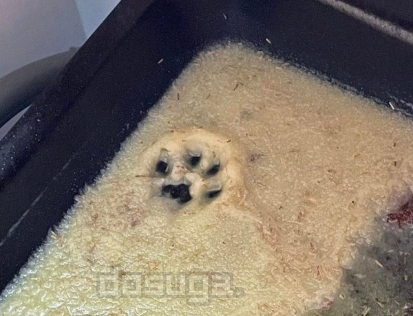 юмор кулинарии