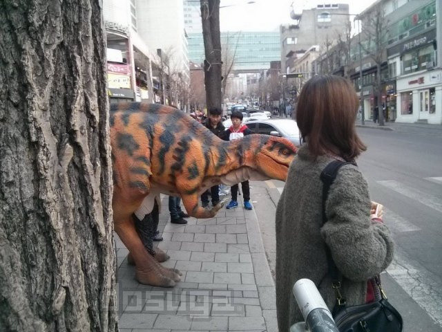 Азия приколы и юмор про азиатов