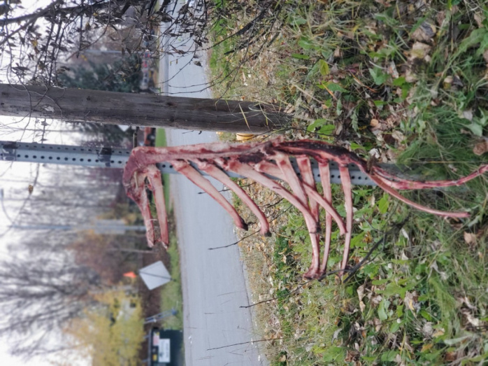 прикольные картинки юмор позитив