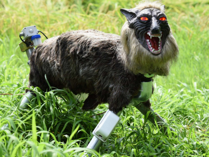 прикольные картинки юмор позитив