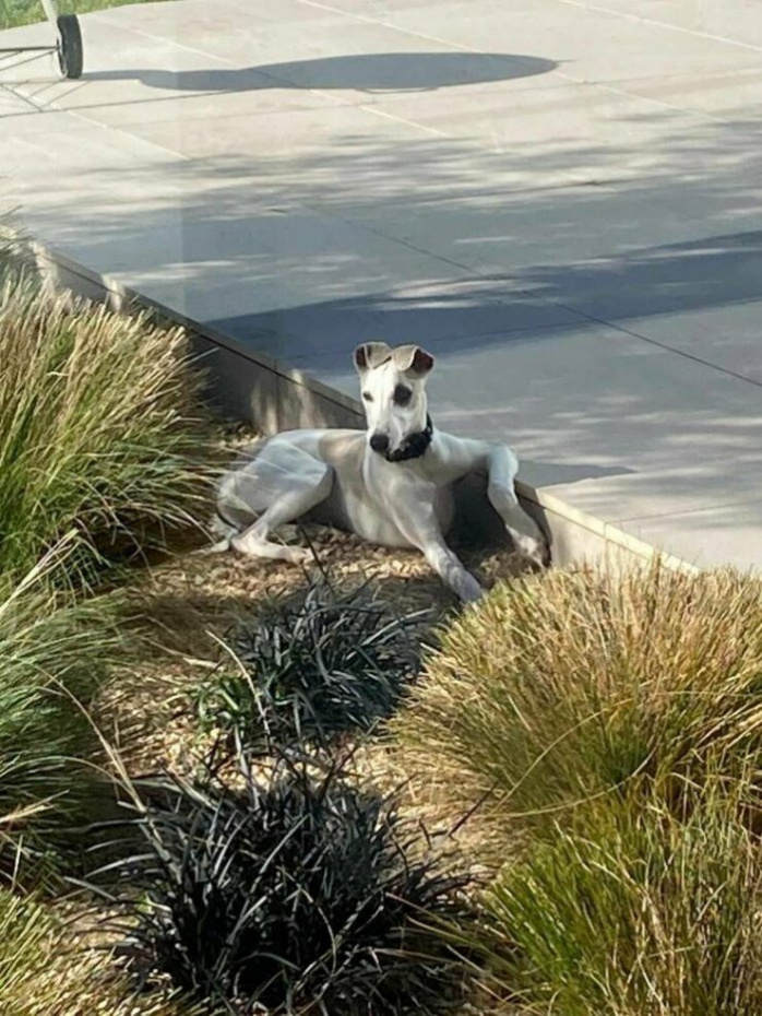 фото приколы